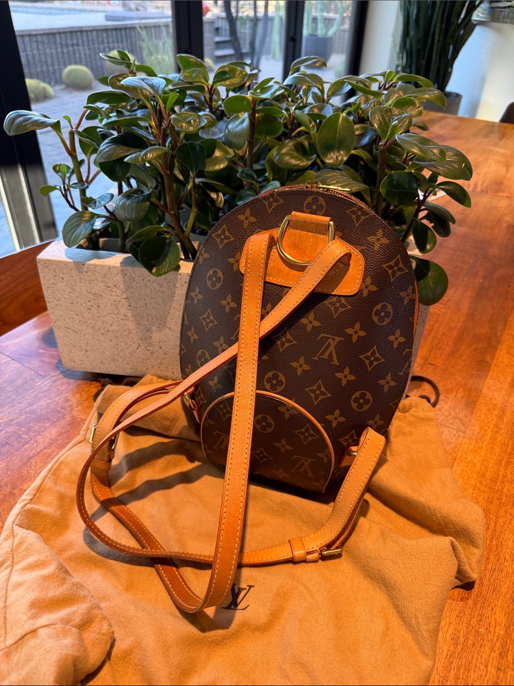 Louis Vuitton Monogram Round Backpack in Brown and Tan - Picture 2 of 3